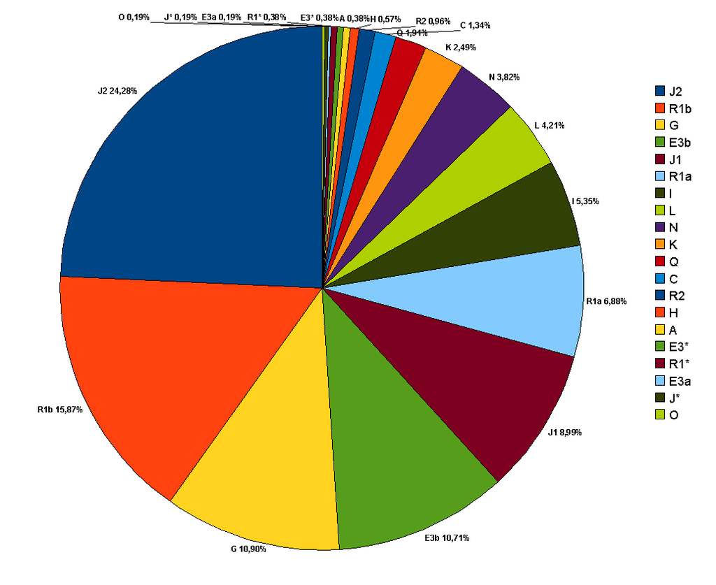 1024px-Turkey_Y_chromosome(in_20_haplogroups).png