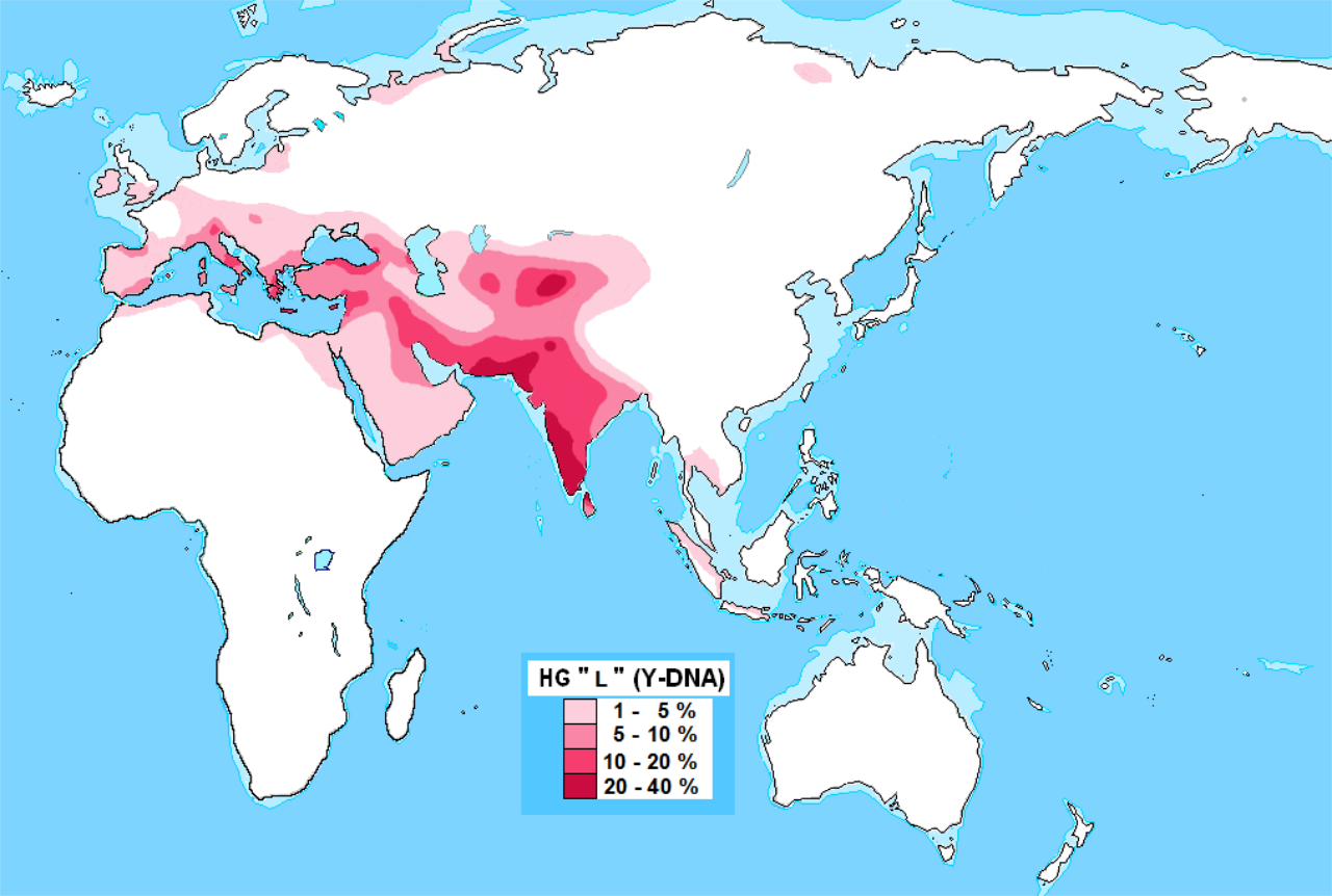 1280px-Distribution_Haplogroup_L_Y-DNA.svg.png