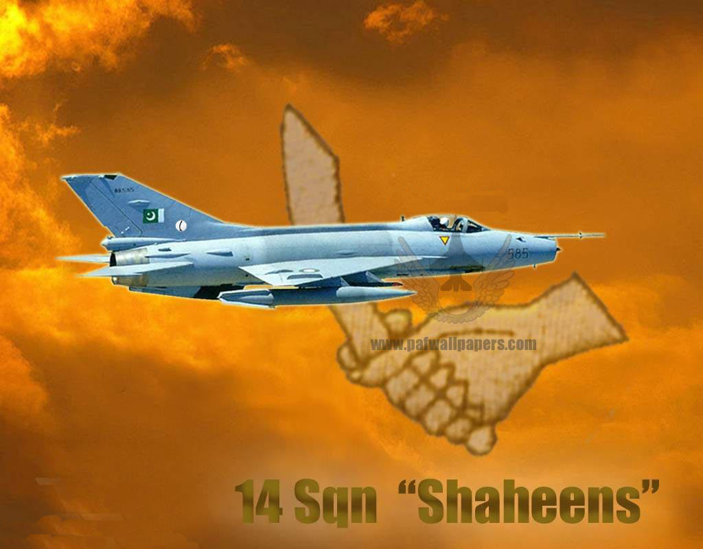 14-Shaheens.JPG