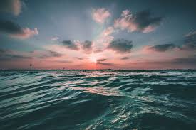 Image result for ocean