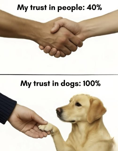 1746130220443.png