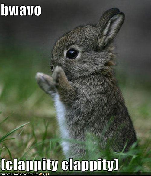 238135,xcitefun-funny-pictures-bravo-bunny.jpg