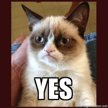 39906-grumpy-cat-tard-yes-zyky_360.png