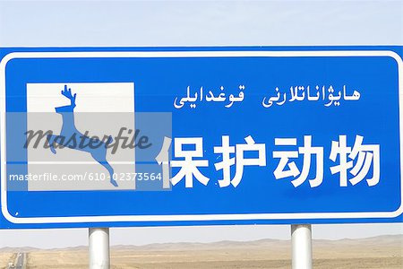 610-02373564em-china-xinjiang-road-sign-stock-photo.jpg