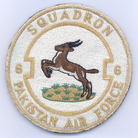 6sqdn-patch.jpg