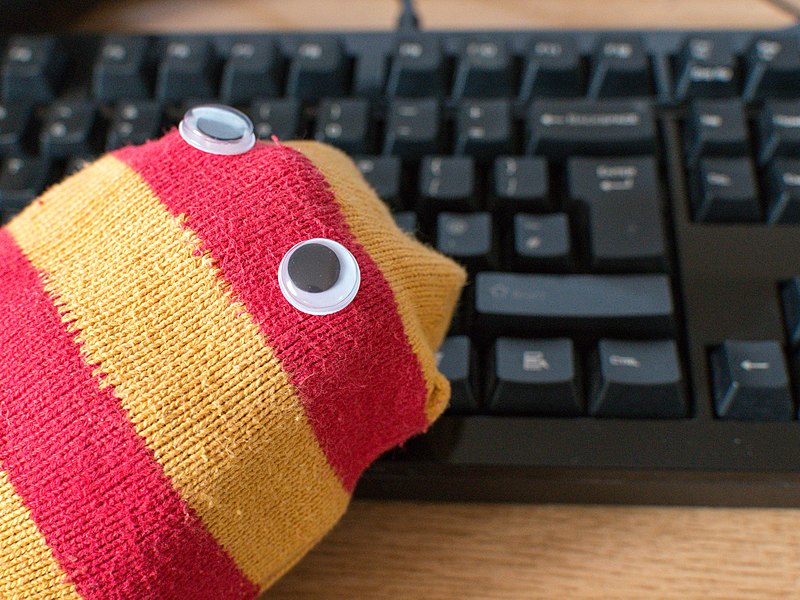 800px-Sock_puppet_and_keyboard.jpg