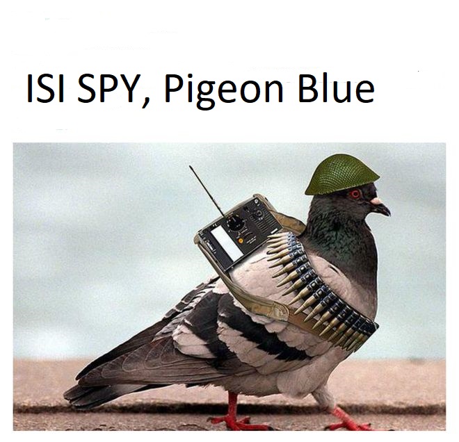 _83365797_pigeonmeme2.png.jpg