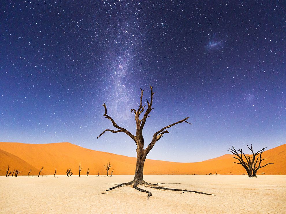 A Night at Deadvleideadvlei-africa-namibia_91343_990x742.jpg