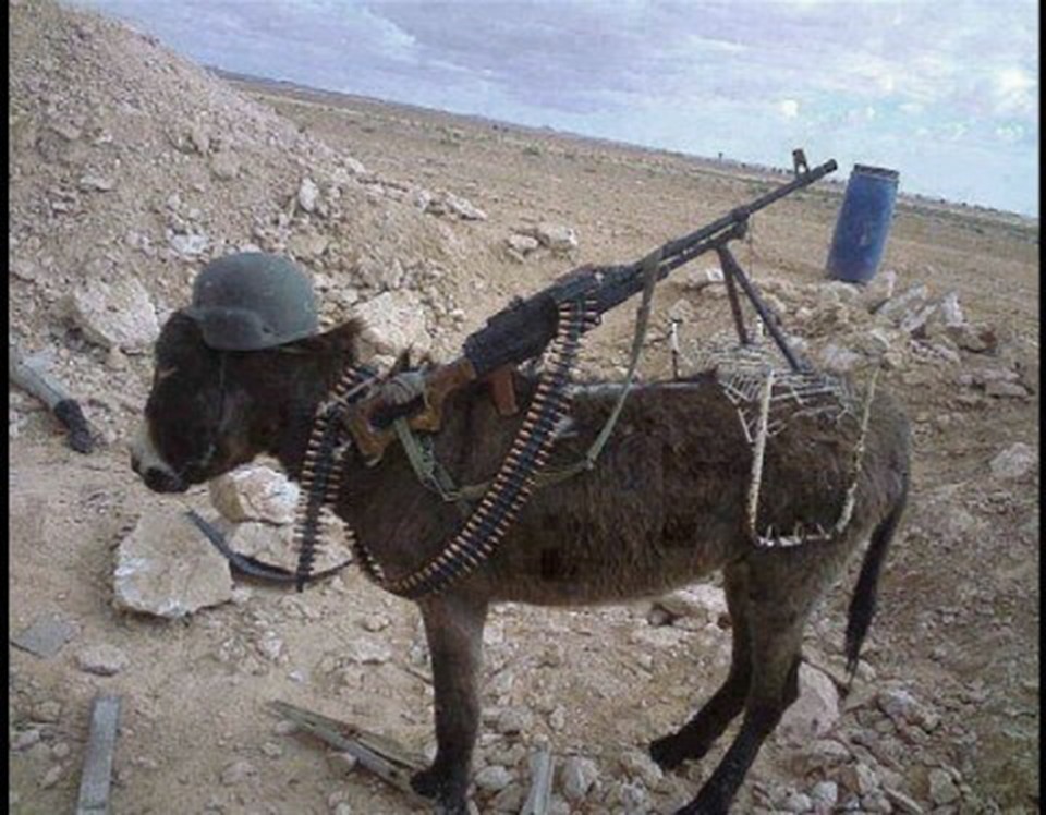 Afghan army donkey.jpg