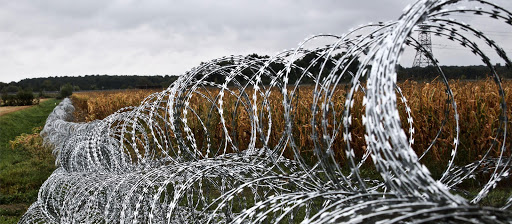 babrbed wire fence -.jpg