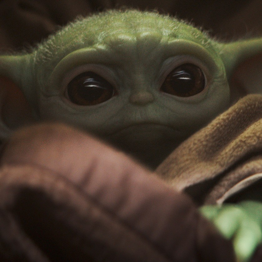 baby-yoda-craze.jpg