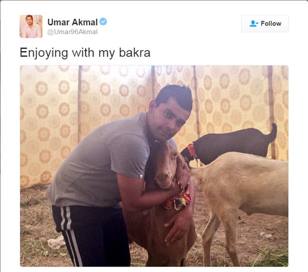 bakra.jpg