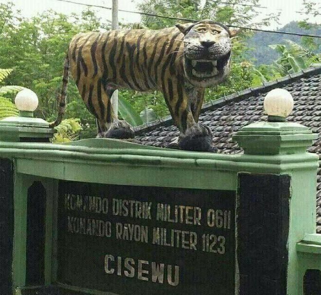 Bangladeshi Tiger.jpg