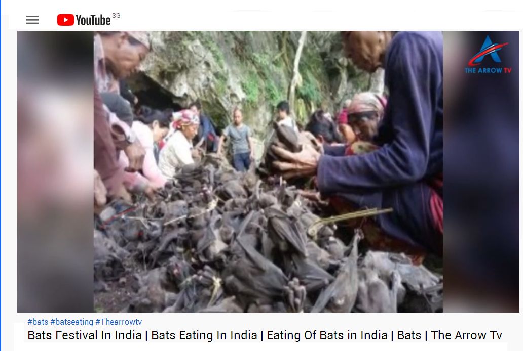 Bats Festival In INdia2.jpg