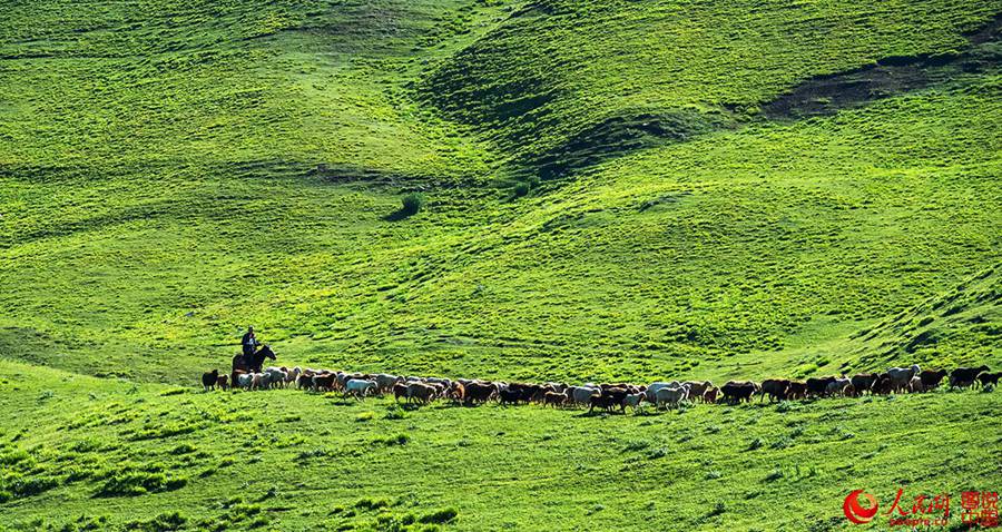 Bayinbuluke-Prairie,Xinjiang.(2).23k-sqkm.jpg