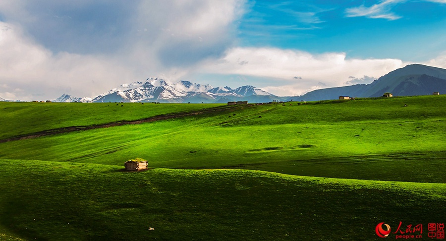 Bayinbuluke-Prairie,Xinjiang.(6).23k-sqkm.jpg