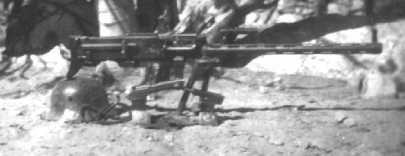 bergmann_lmg_141.jpg