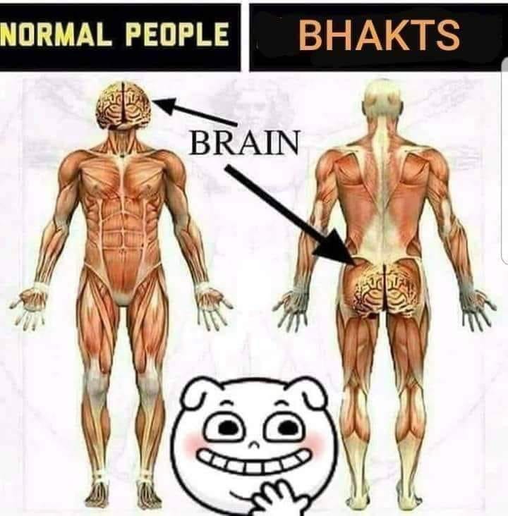 bhakts.jpeg