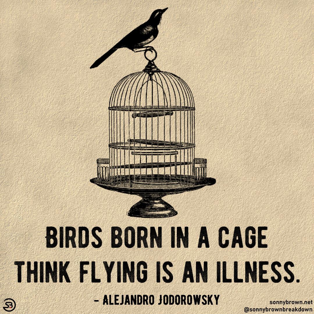 birds born in cage.jpg