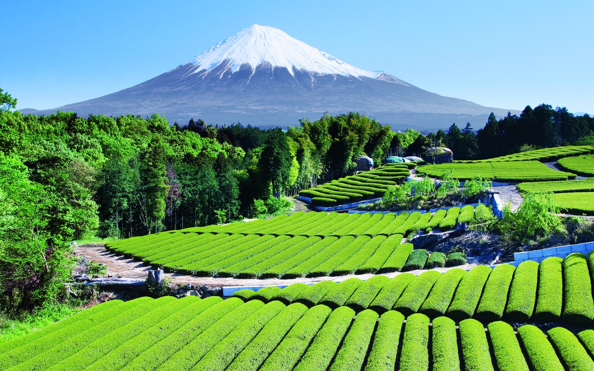 Calendar_2010_April_Japan_Mount_Fuji_1920.jpg