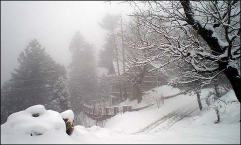 coldweather-pakistan_12-30-2013_132260_l.jpg