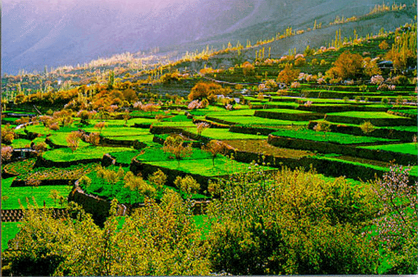 Copy_of_Kaghan_Valley.gif