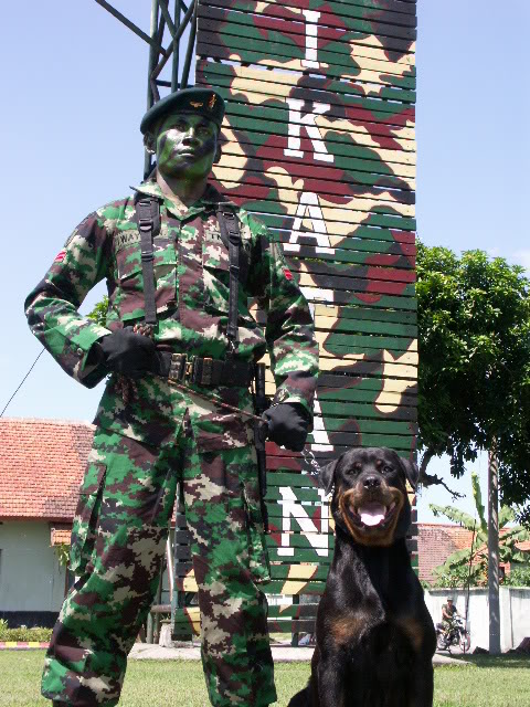 COVERK-92.jpg