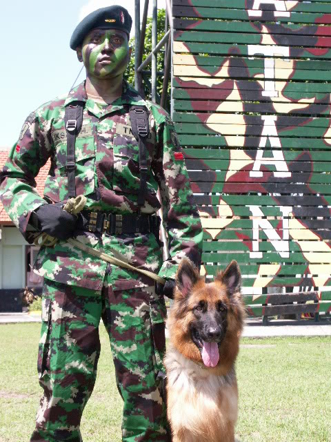 COVERK-94.jpg