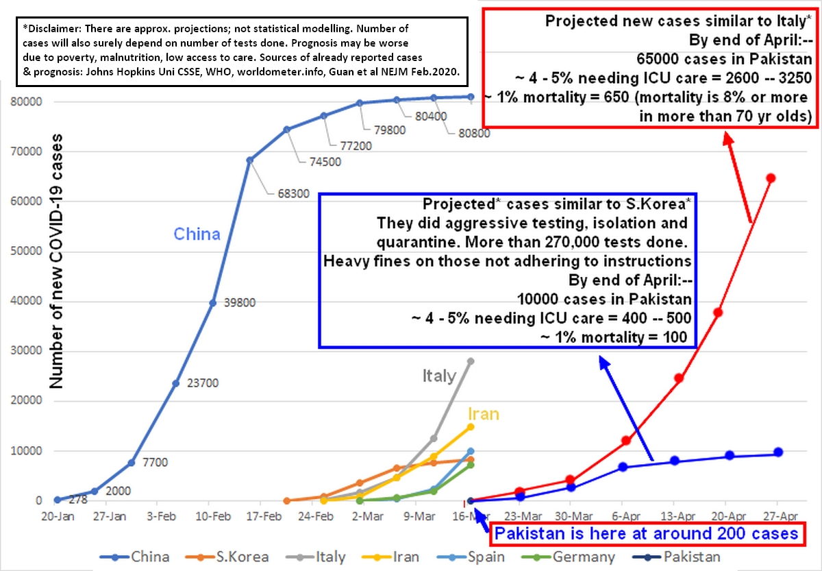 covid19 graph.jpg