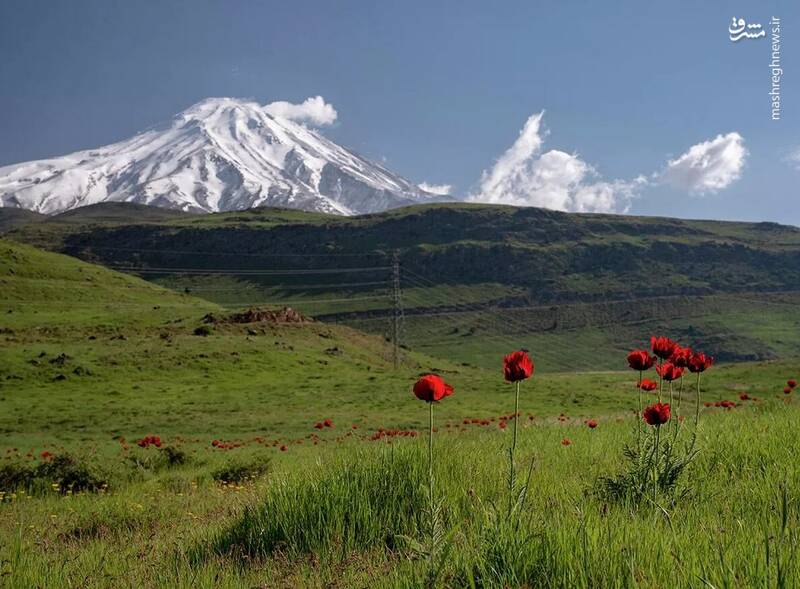 damavand_2.jpg