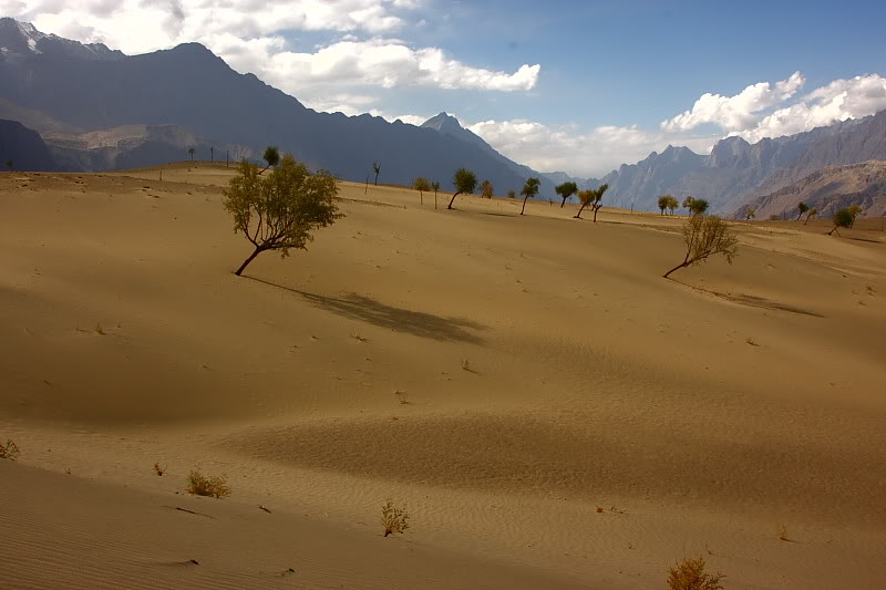 Desert-Skardu.jpg