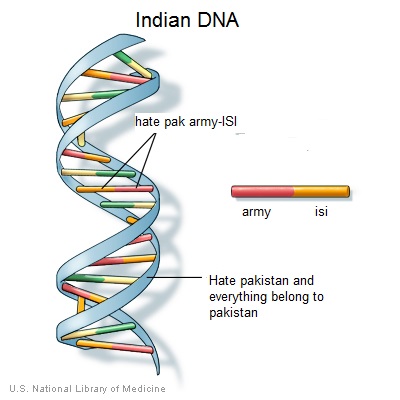 dnastructure.jpg