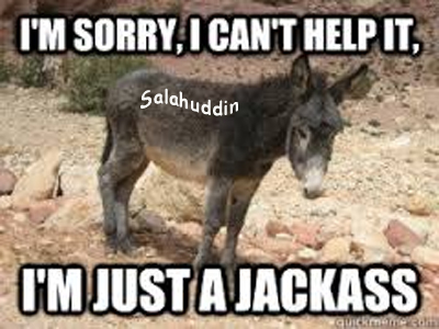 donkey.jpg