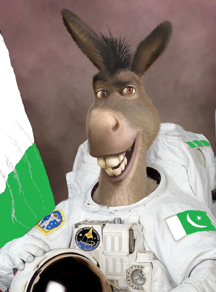 donkey.jpg