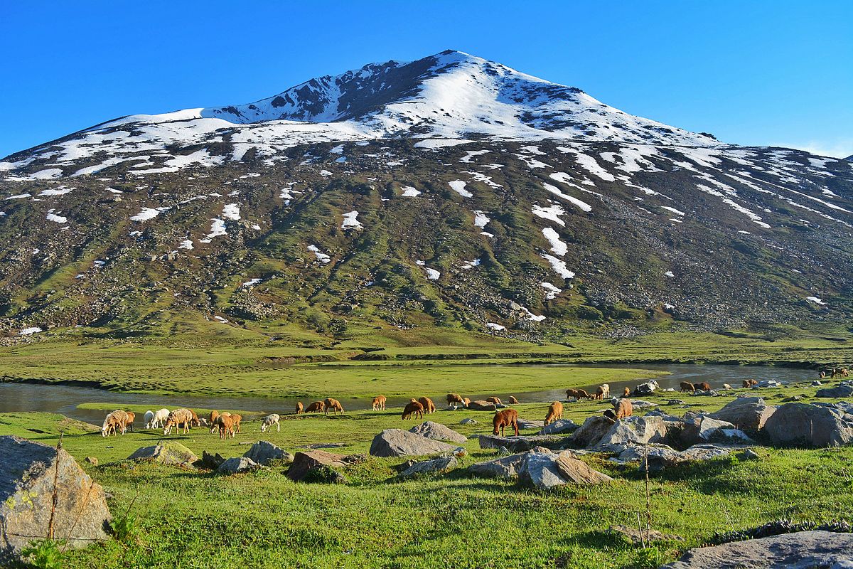 Dudipatsar_valley_in_summers_2015.jpg