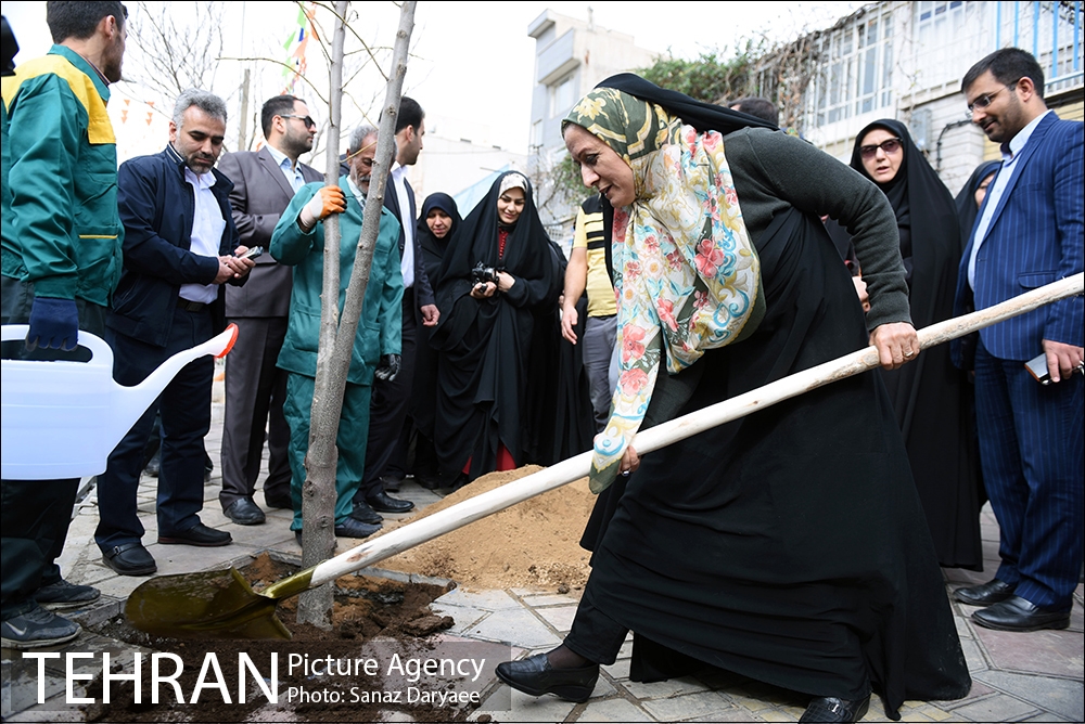 دومین-جشنواره-خیابان-در-دست-بچه-هاست-14.jpg