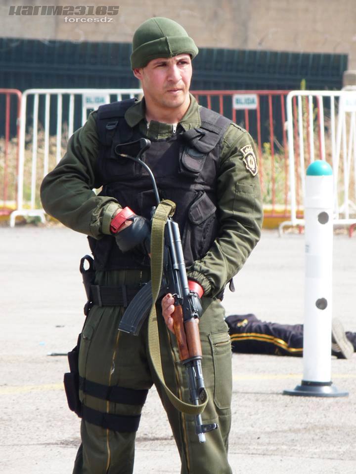 dzarmy 12 20 15 gendarme.jpg1.jpg