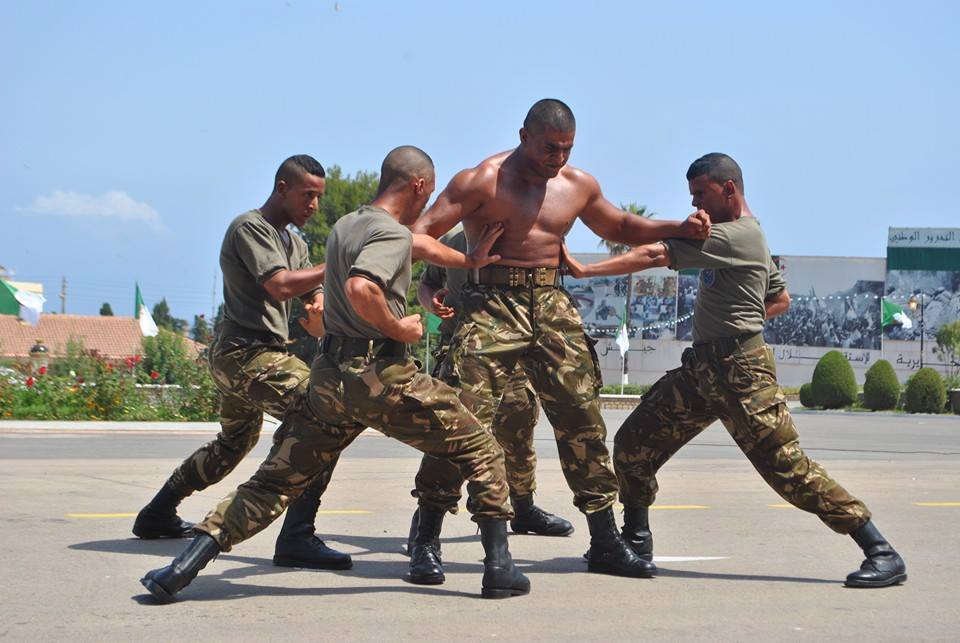 dzarmy 12 29 15 sf training.jpg1.jpg