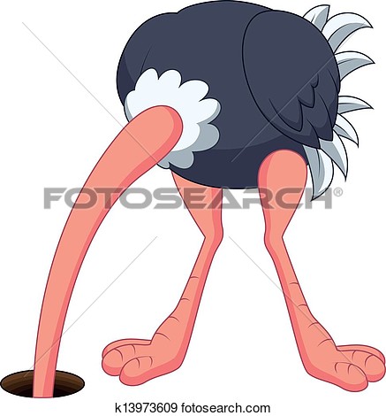 emu-clipart-head-2.jpg