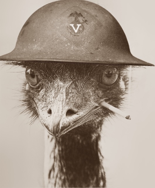 Emu Lieutnant.jpg