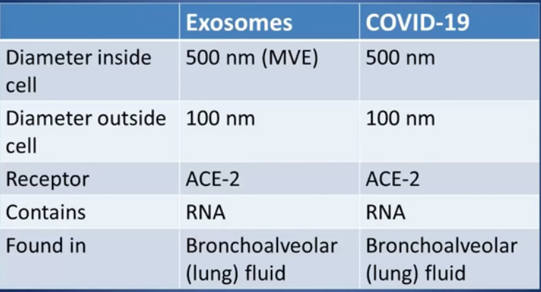 ExosomesCovid19.jpg