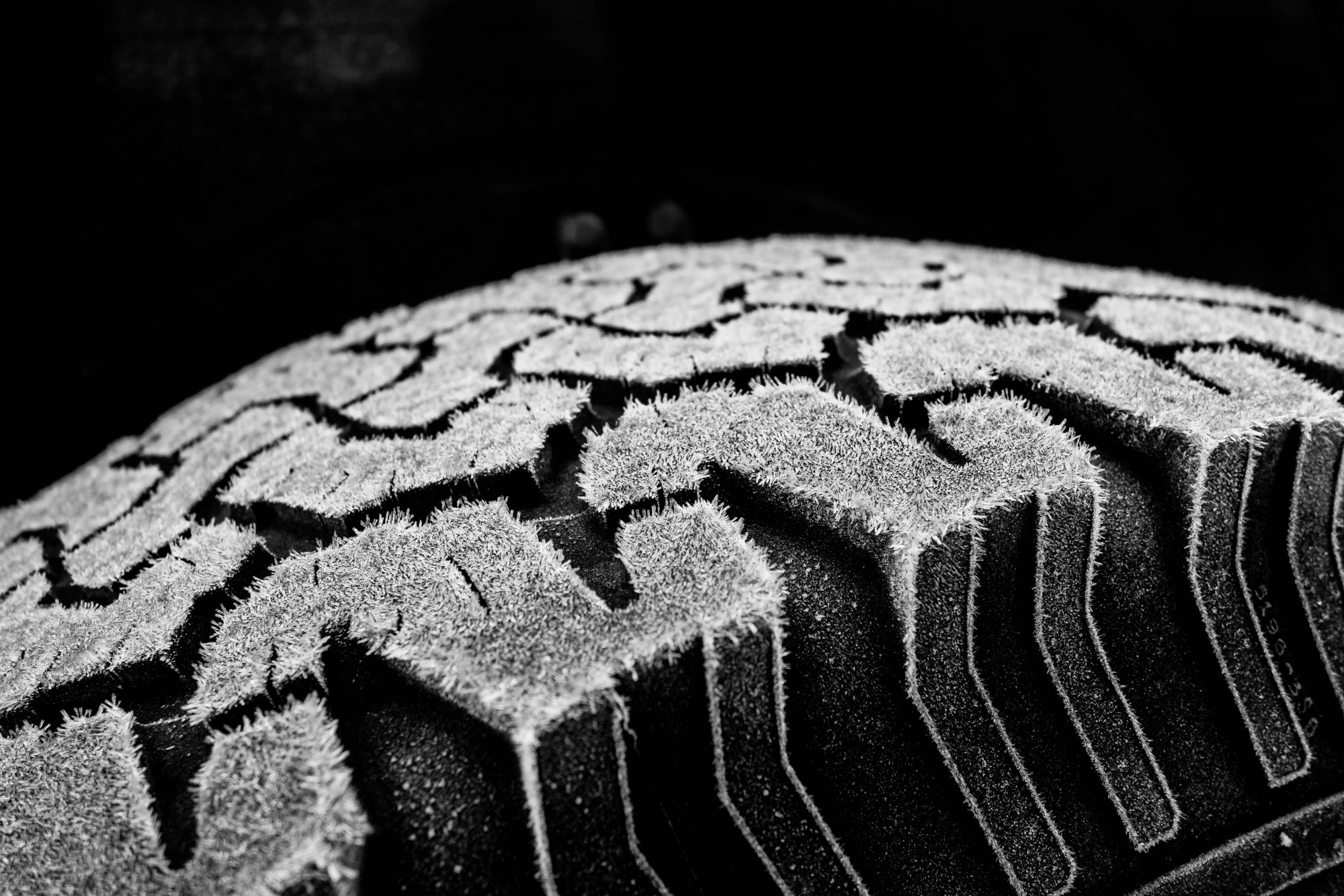 Frosy Tire-02633.jpg