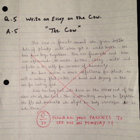 Funny-Answer-Sheets-Write-an-Essay-on-the-Cow-Funny-Exam-Answer-Sheets.jpg