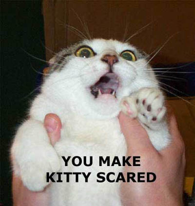 Funny-Scared-92.jpg