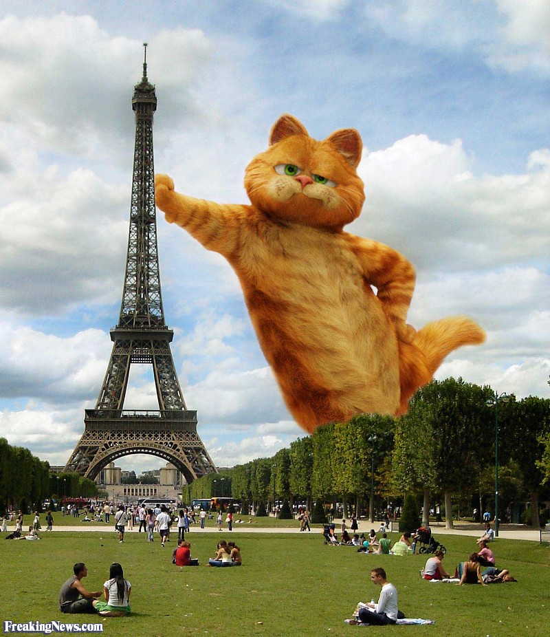 Garfield-Eiffel-Tower--36332[1].jpg