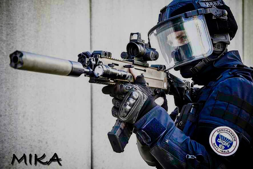 GIGN CZ Bren 2 1.jpg