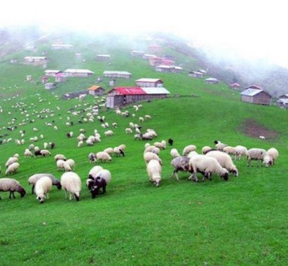 Gilan - Masal.jpg