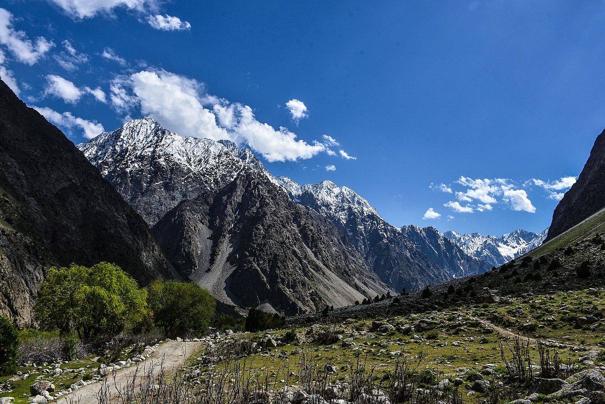 Golian_Valley_Chitral_Pakistan.jpg