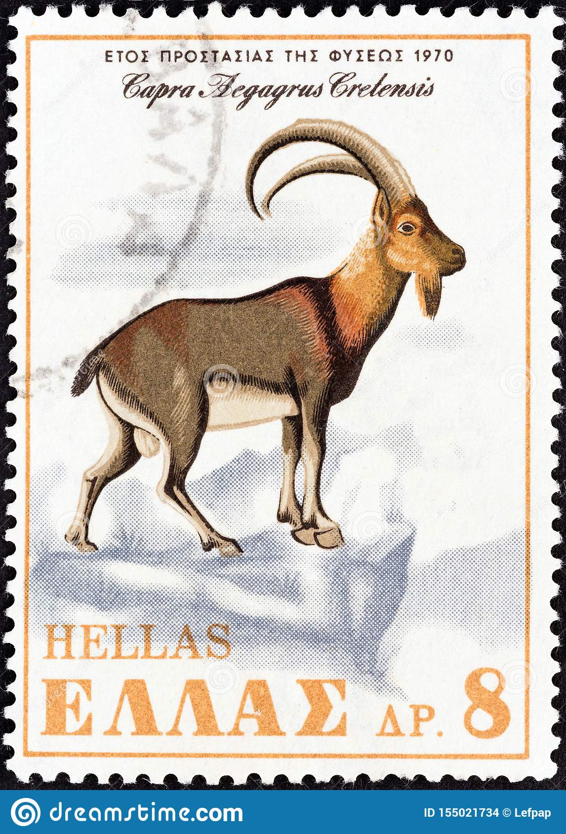 greece-circa-stamp-printed-greece-shows-cretan-wild-goat-capra-aegagrus-cretensis-circa-greece...jpg