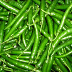 green-chilli-500x500-250x250.jpg